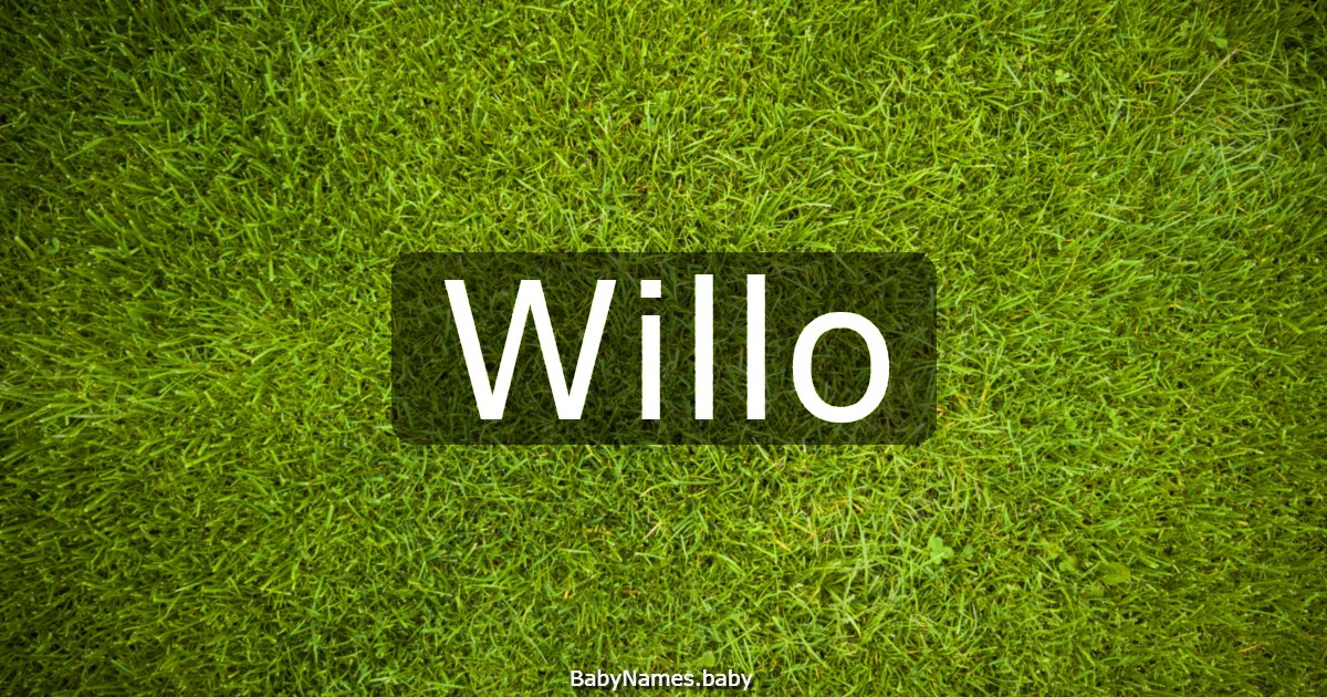Willo