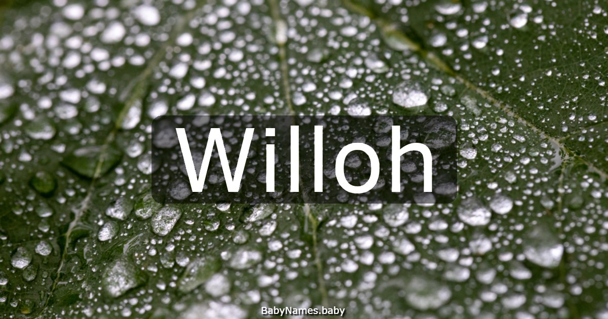Willoh