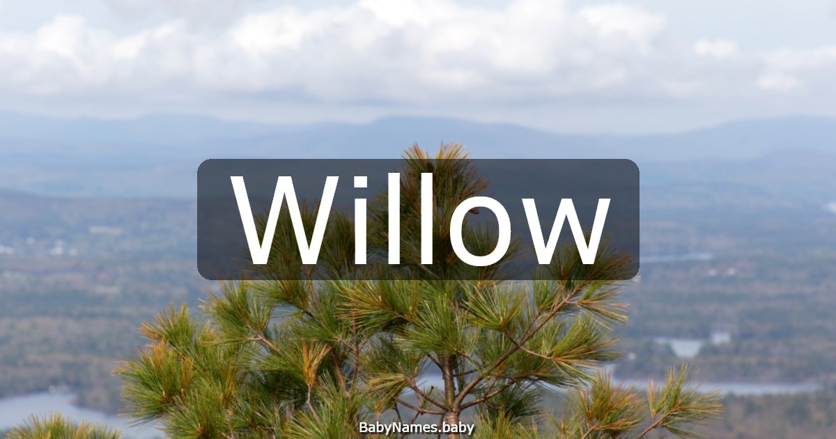 Willow