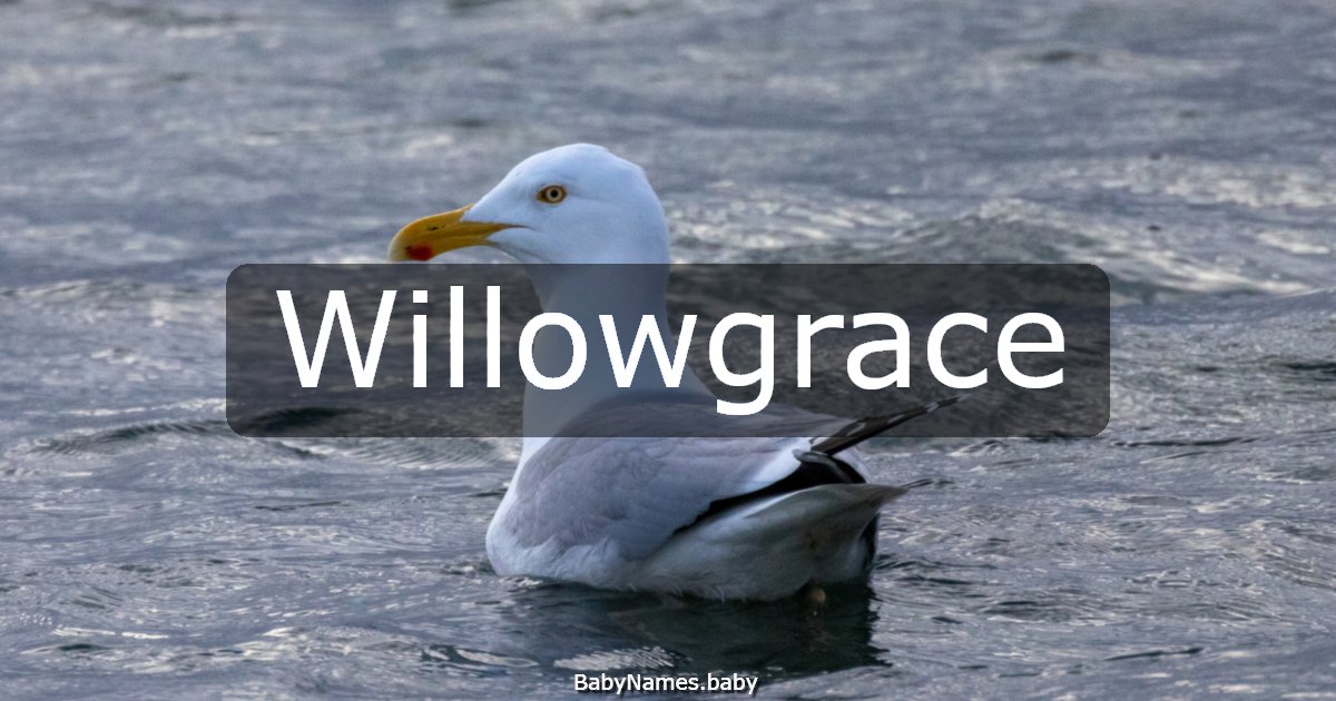 Willowgrace