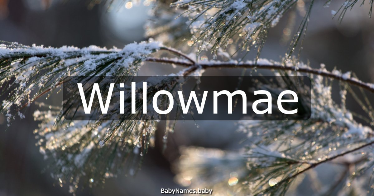 Willowmae