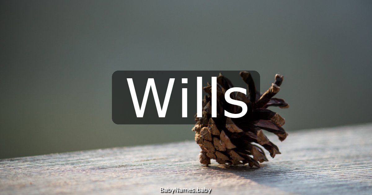 Wills