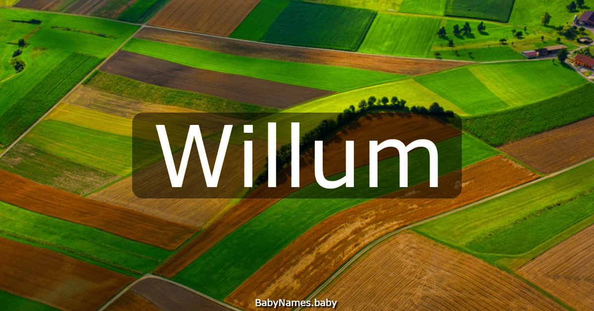 Willum