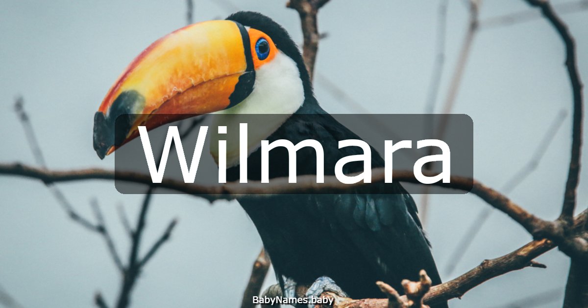 Wilmara