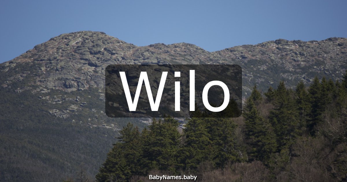 Wilo