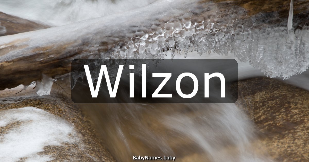 Wilzon