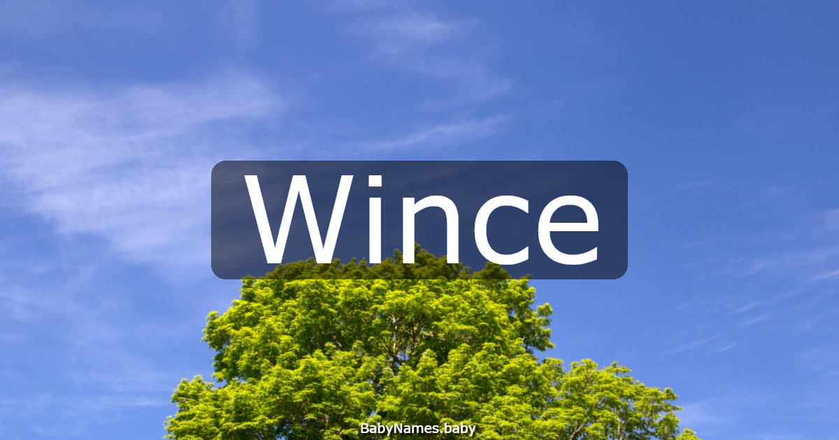Wince