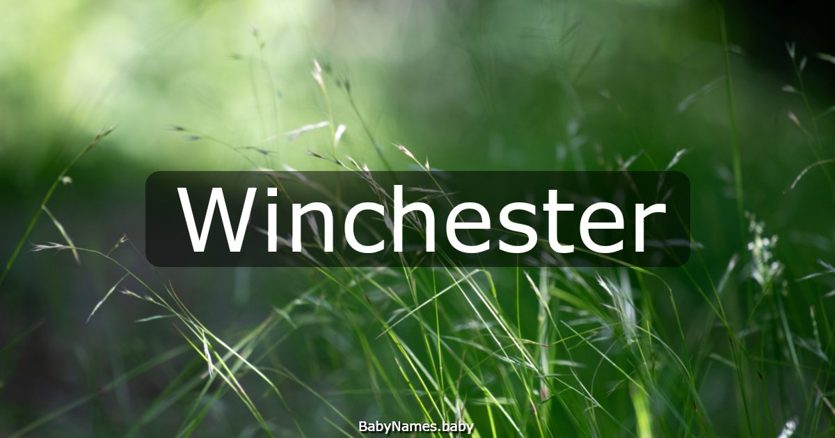Winchester