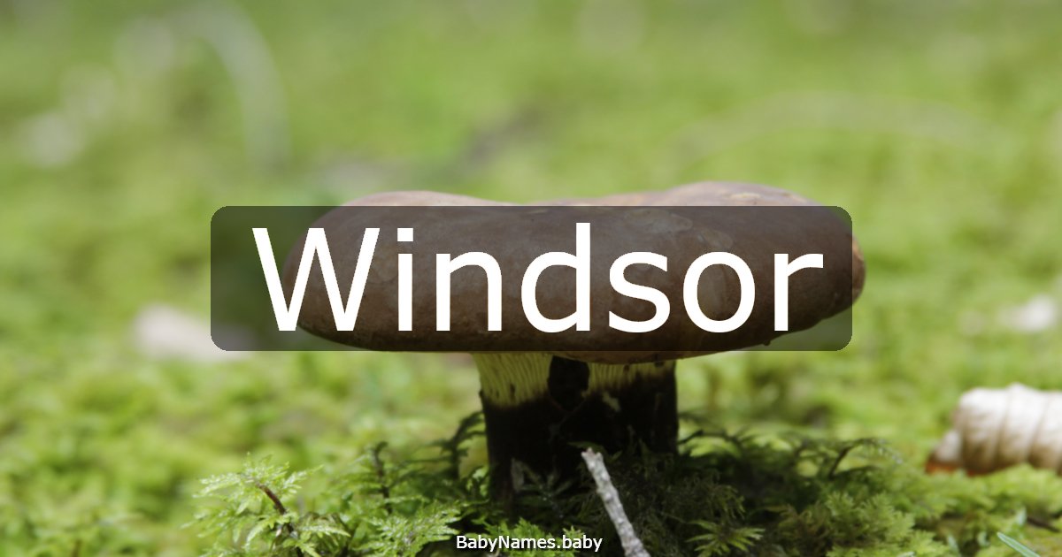 Windsor