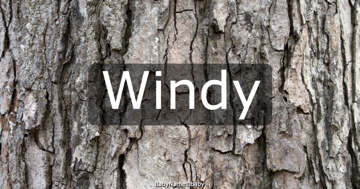 Windy