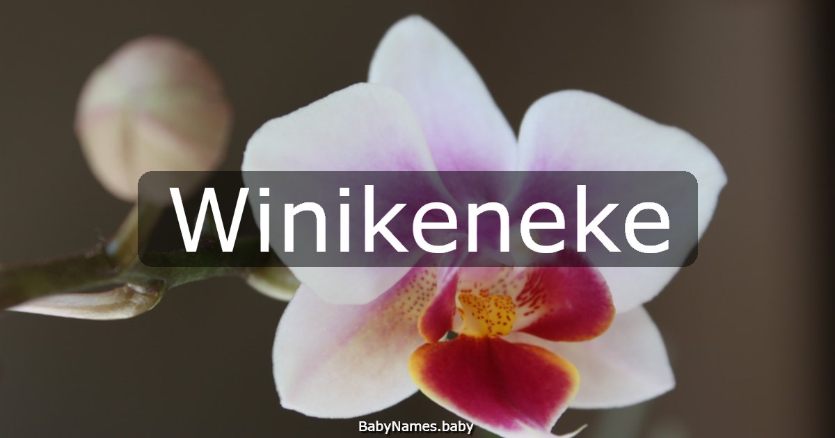 Winikeneke