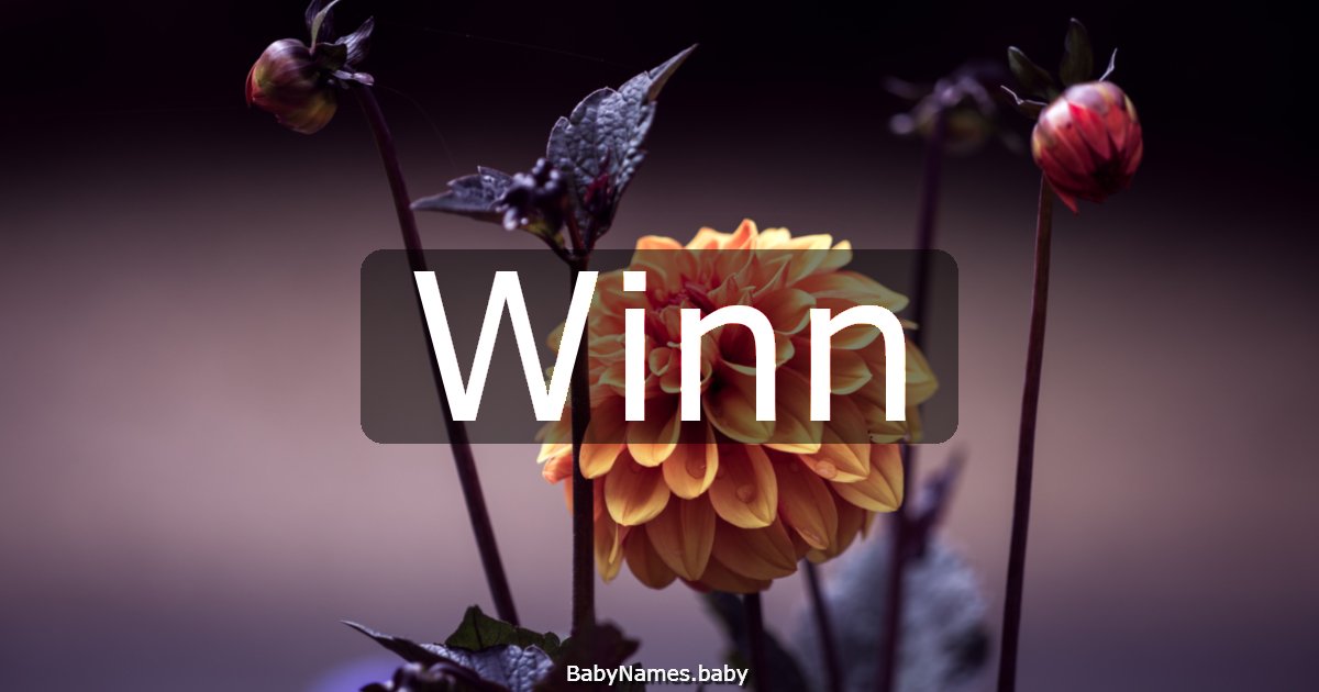 Winn
