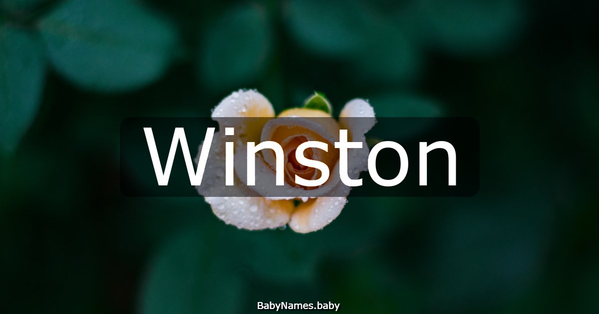 Winston