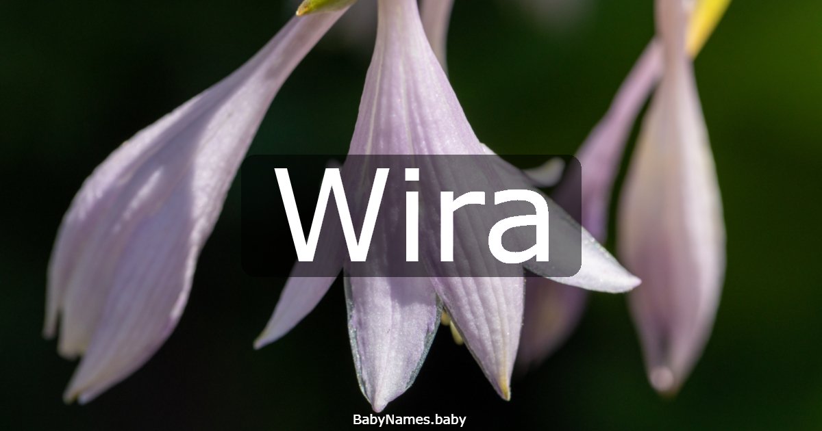Wira