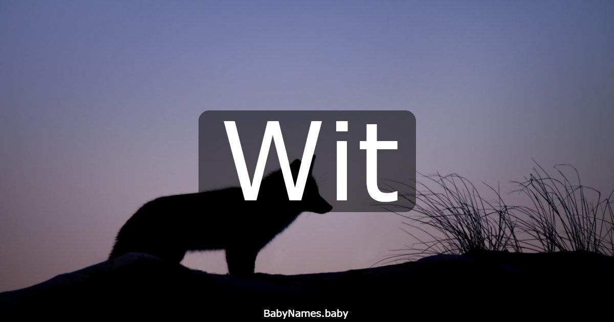 Wit