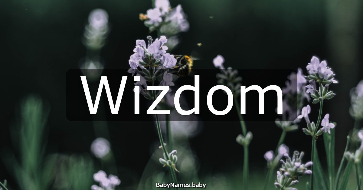 Wizdom