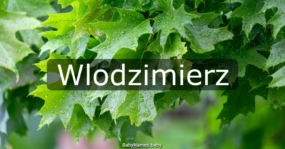 Wlodzimierz