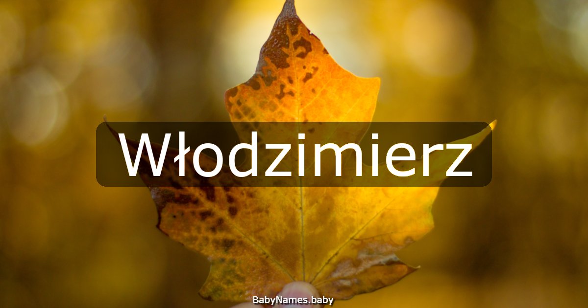 Włodzimierz