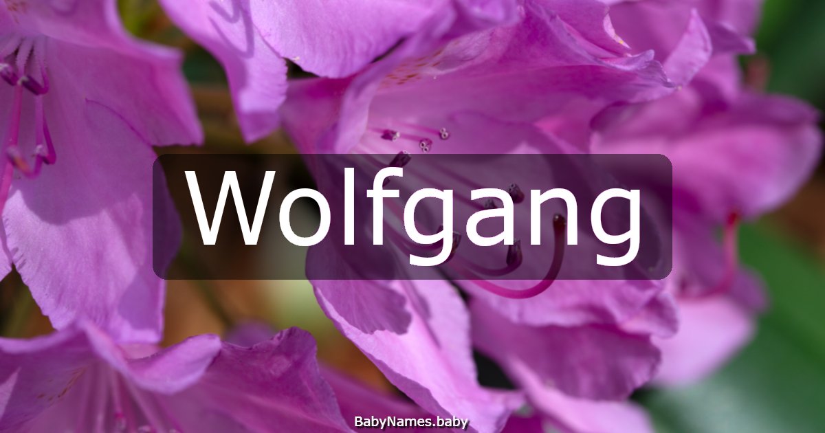 Wolfgang