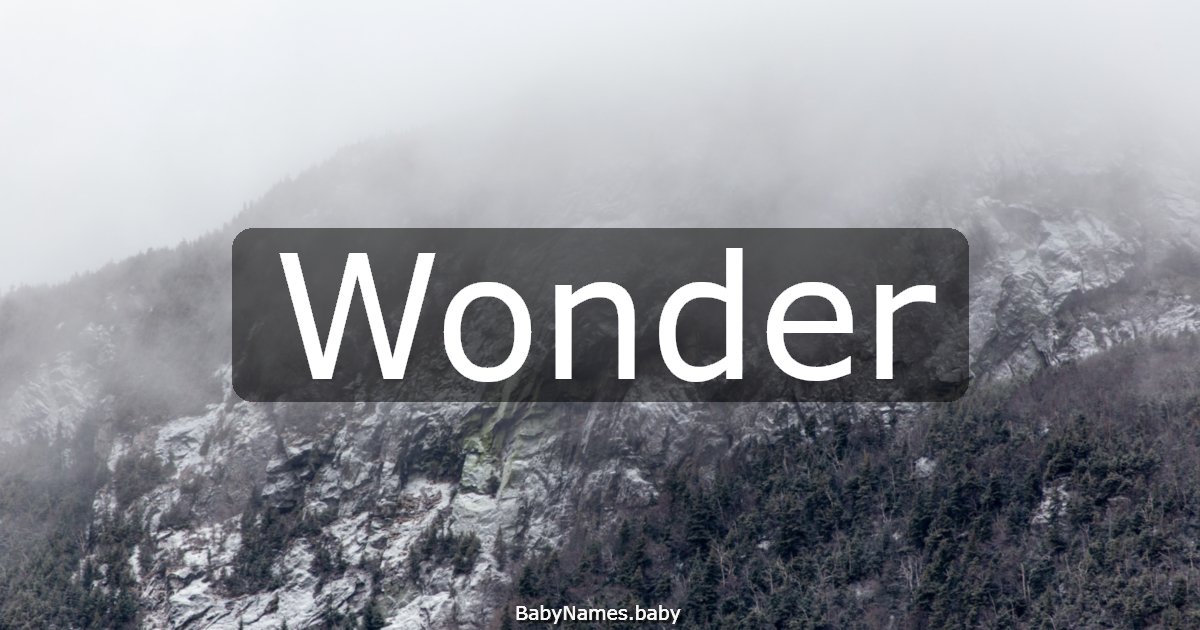 Wonder