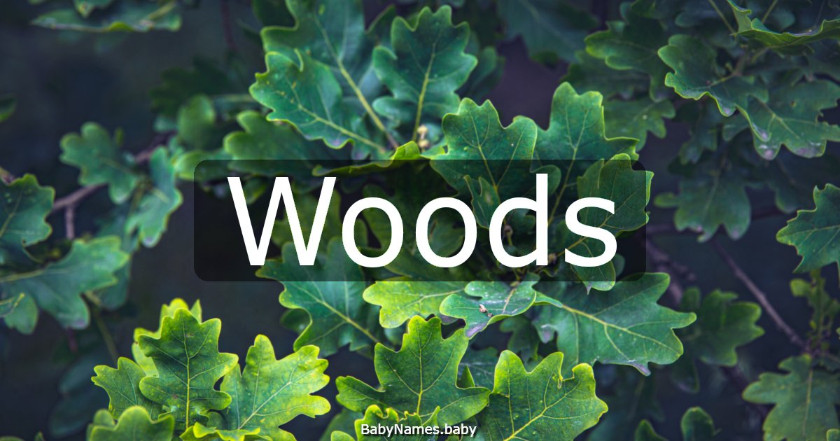 Woods