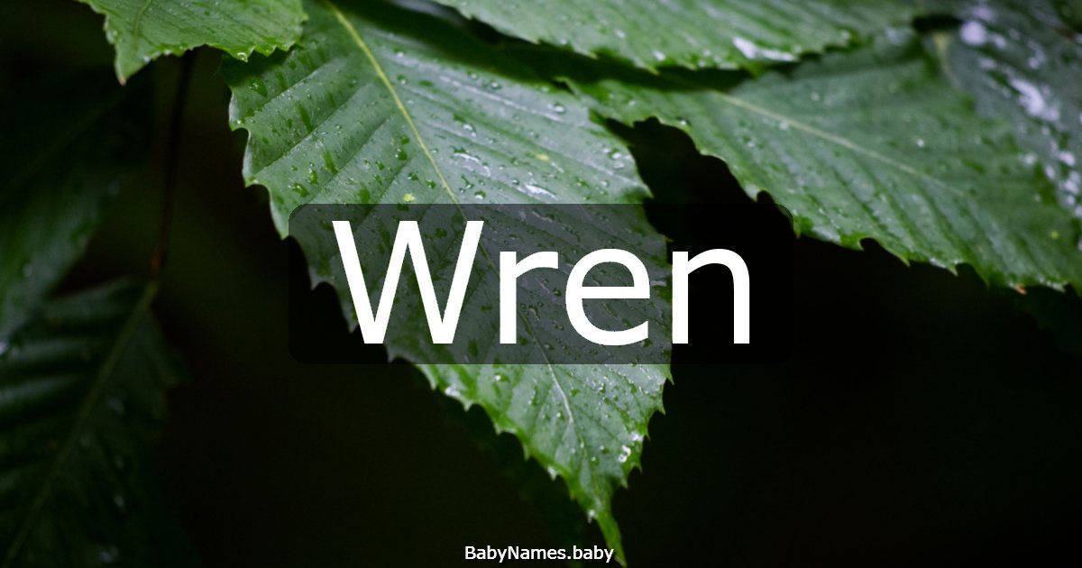 Wren