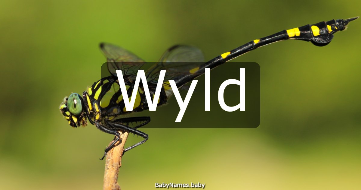 Wyld