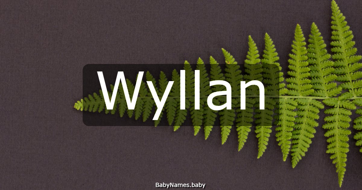 Wyllan