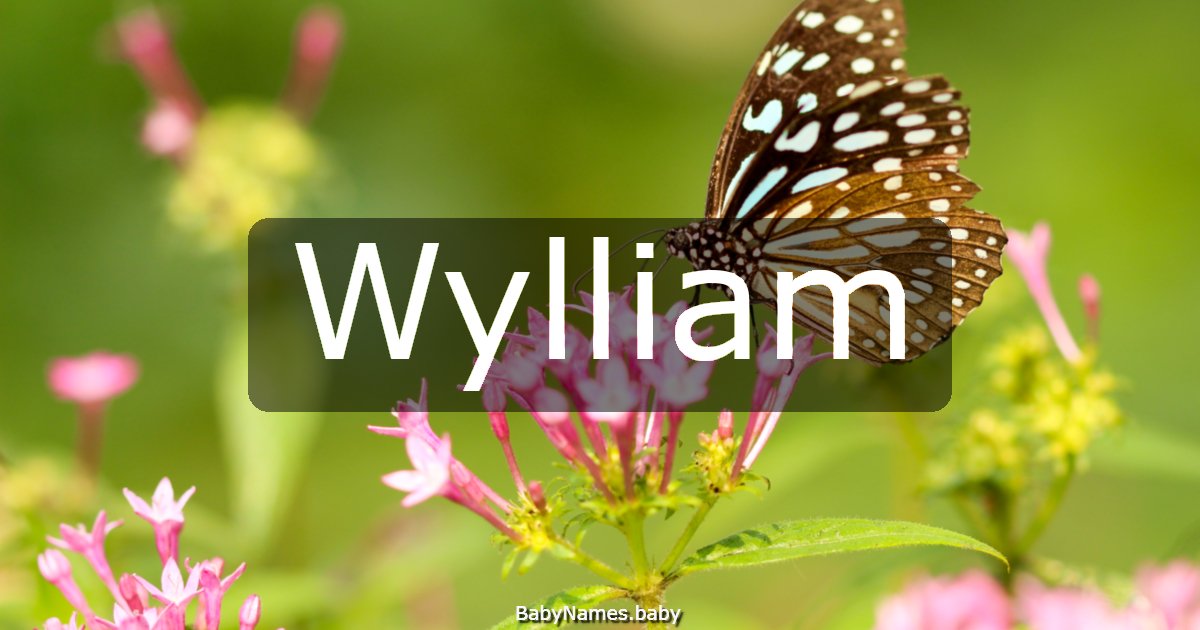 Wylliam