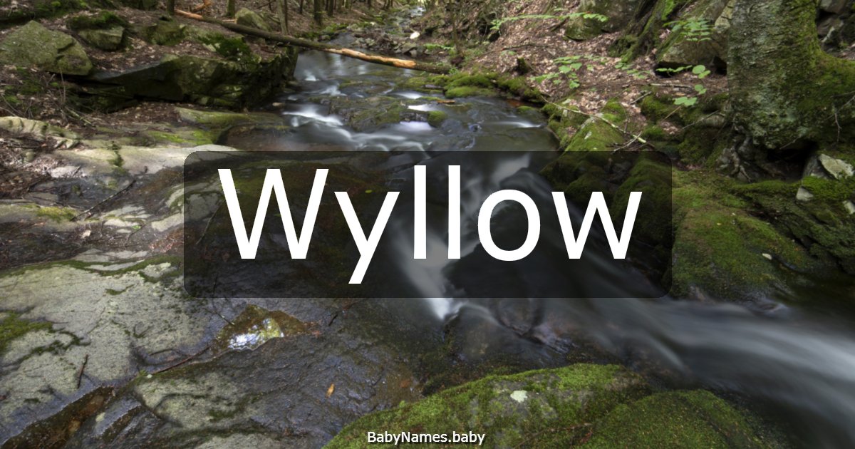 Wyllow