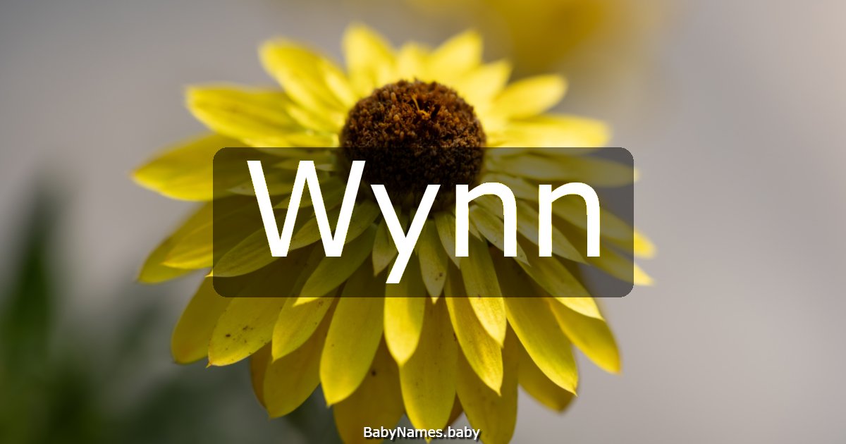 Wynn