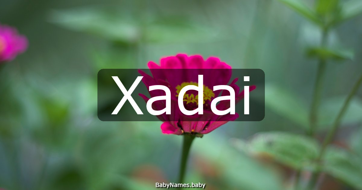 Xadai