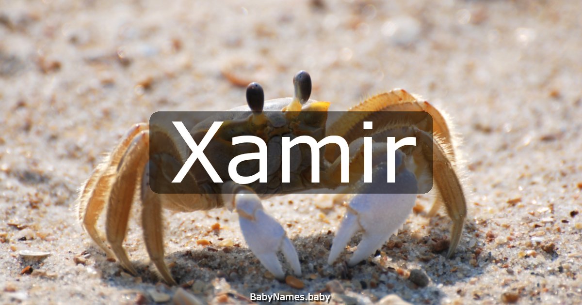 Xamir