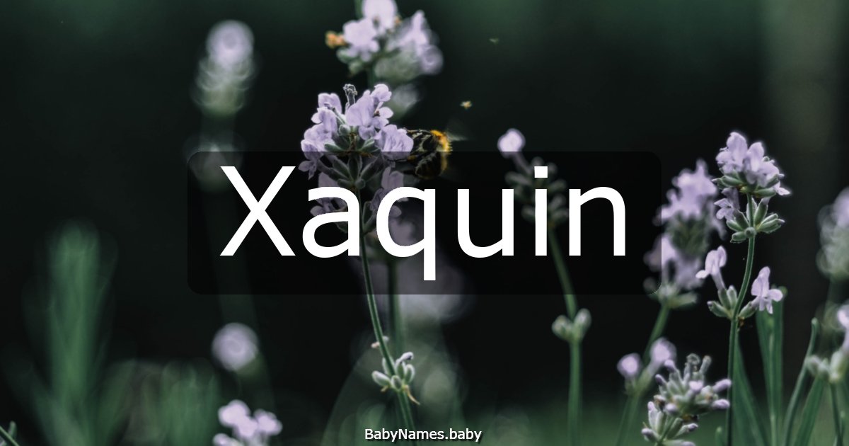 Xaquin