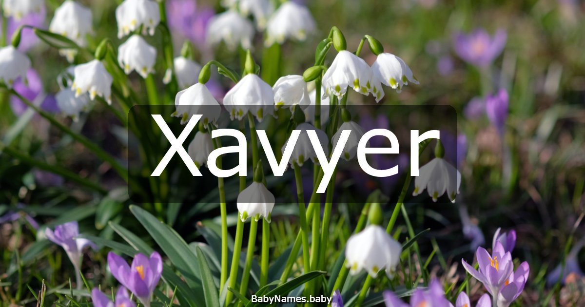 Xavyer