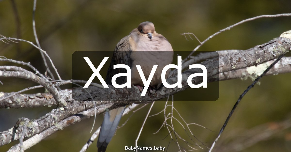 Xayda