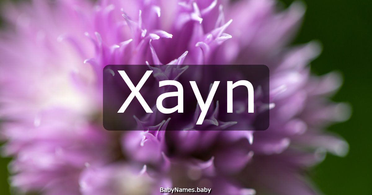 Xayn