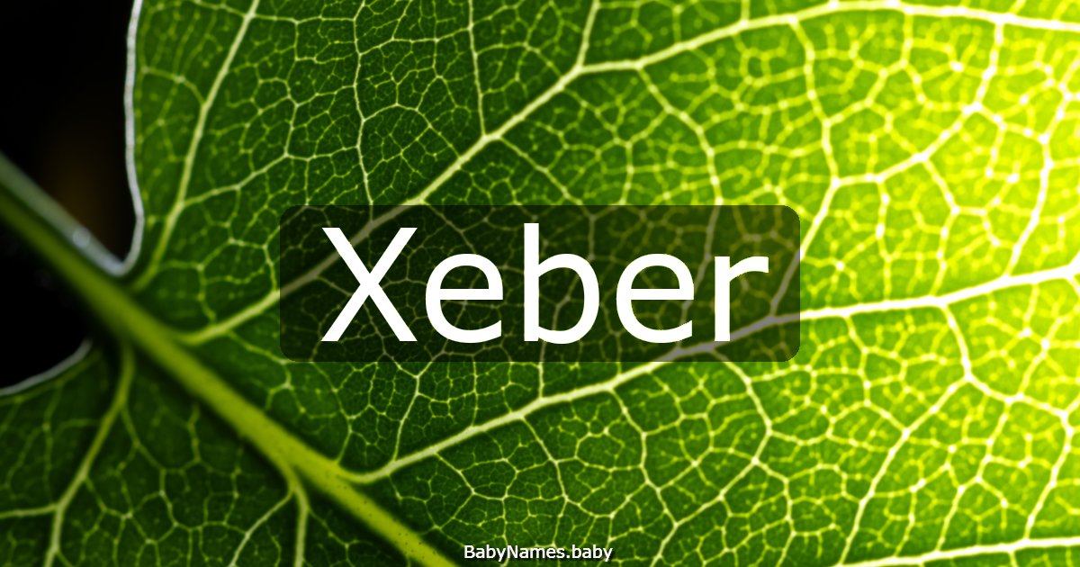 Xeber