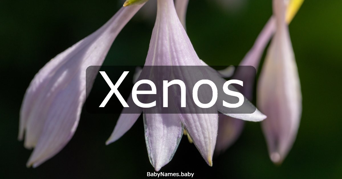 Xenos
