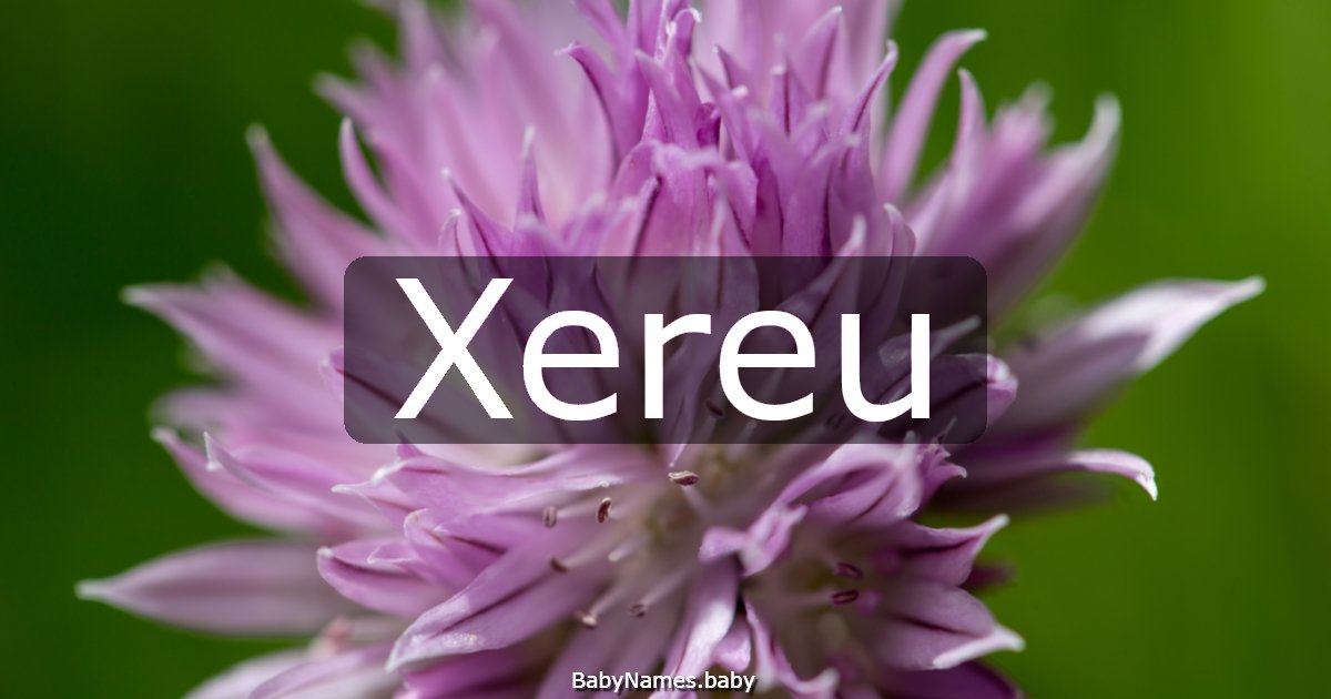 Xereu