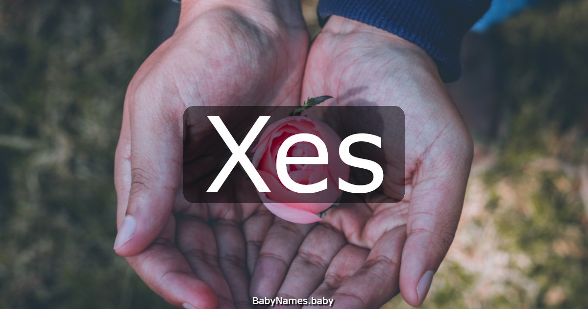 Xes