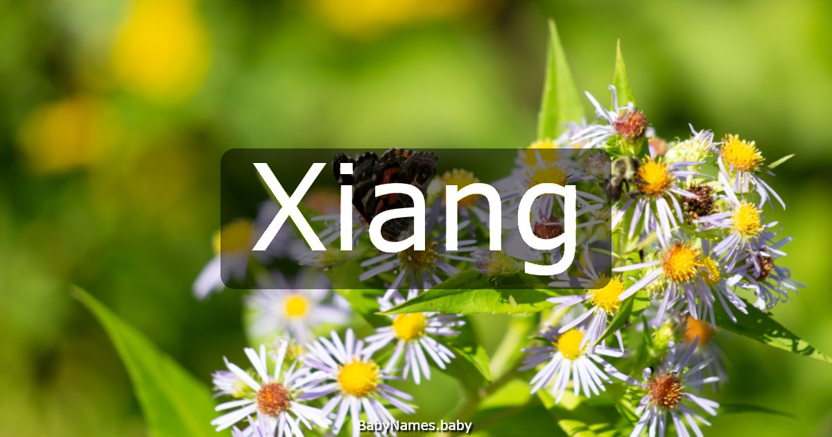 Xiang