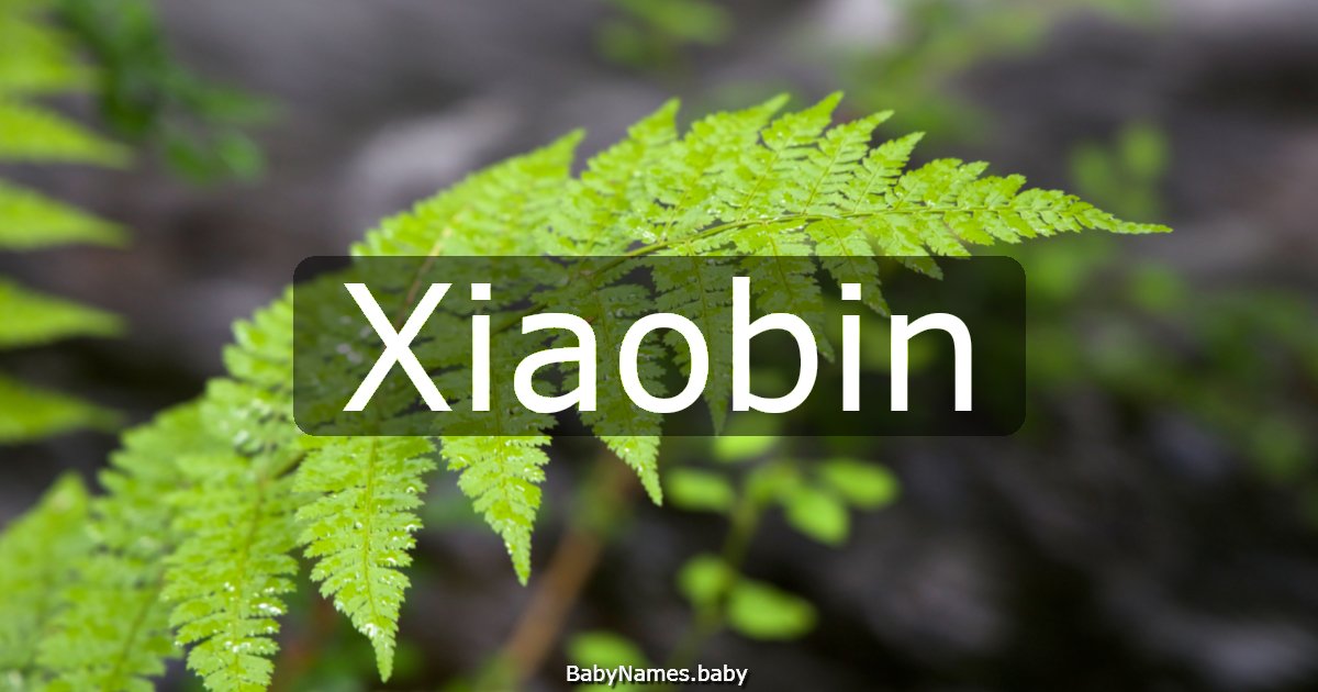 Xiaobin