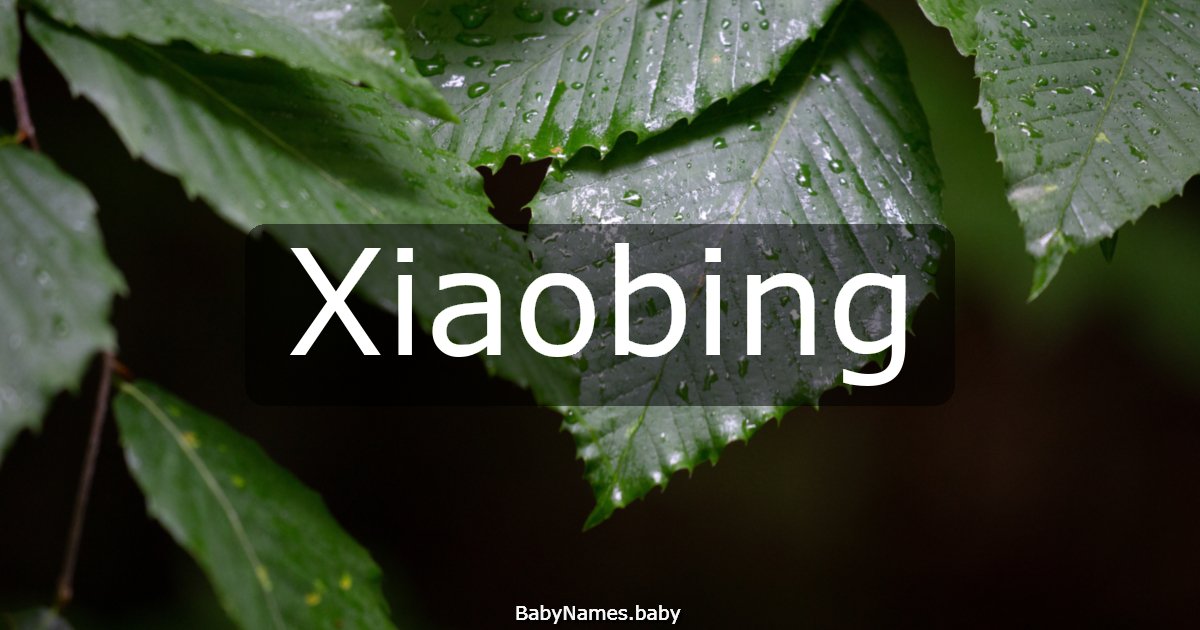 Xiaobing