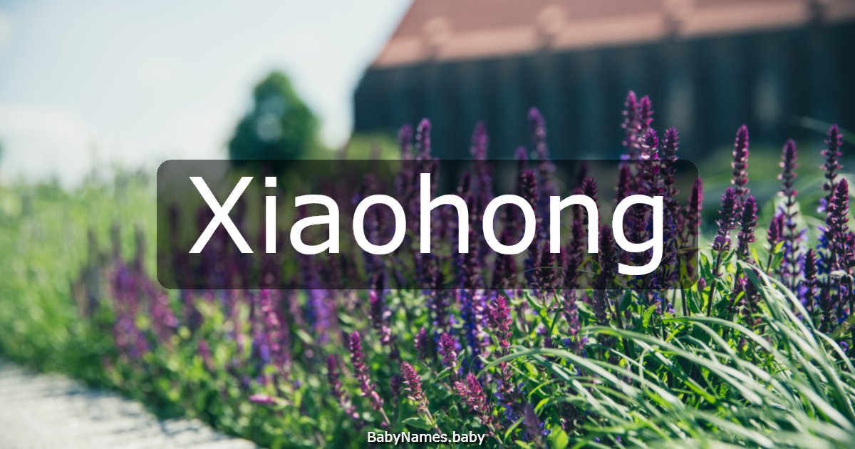 Xiaohong