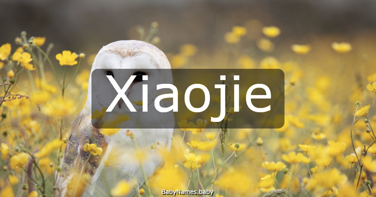 Xiaojie