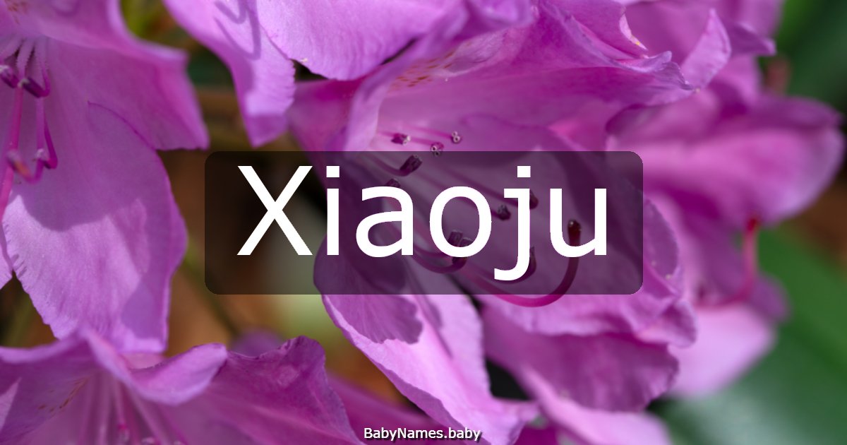 Xiaoju