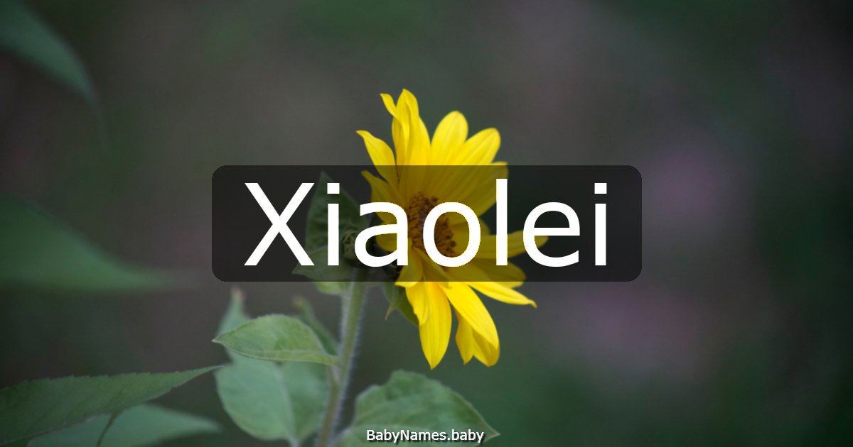 Xiaolei