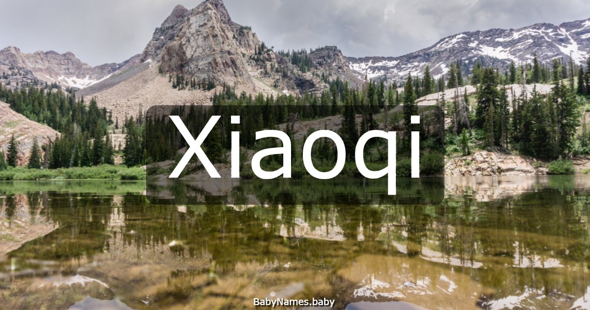 Xiaoqi