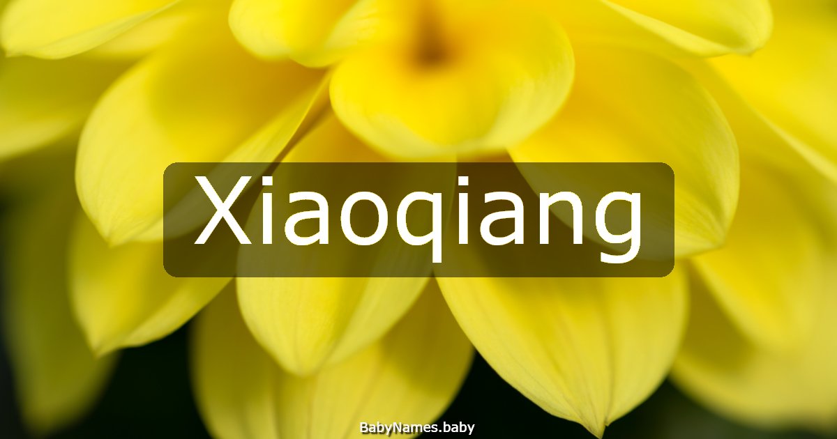 Xiaoqiang
